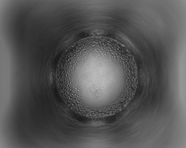 X0000094770169200711161403