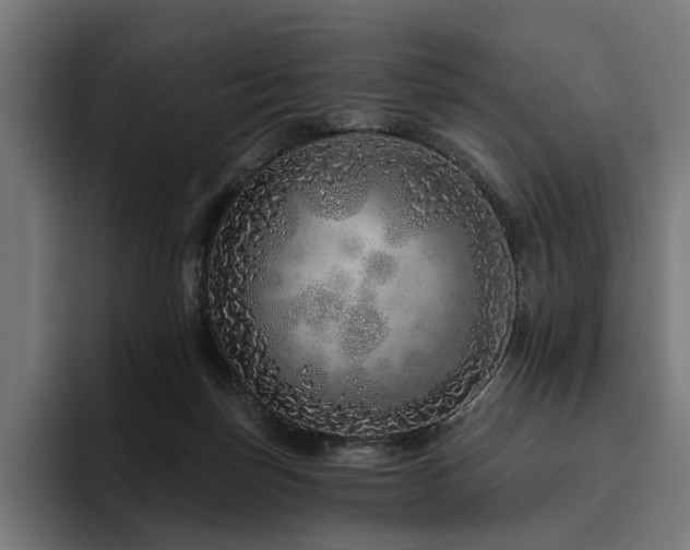 X0000094770171200711161403