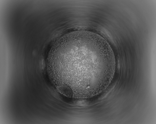 X0000094770173200711161403