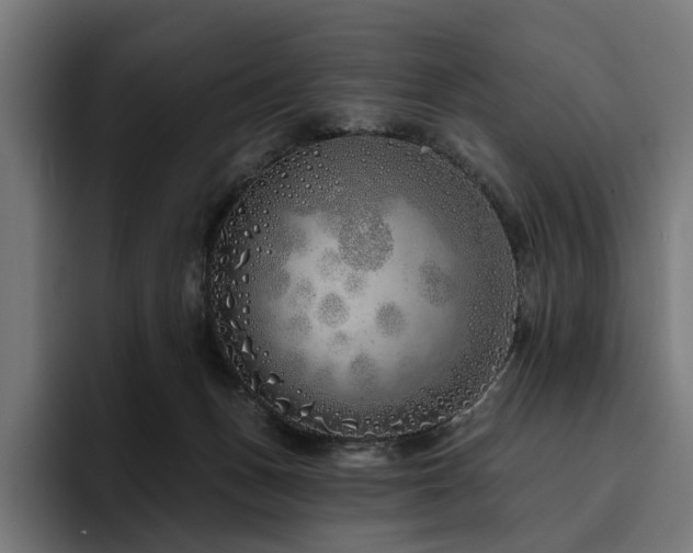 X0000094770175200711161403