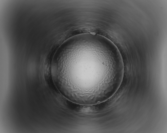 X0000094770177200711161403