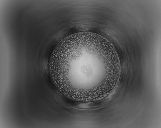 X0000094770178200711161403