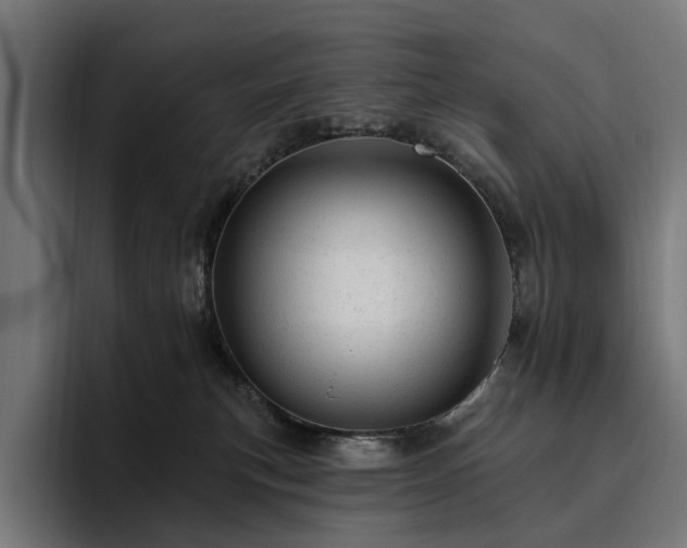 X0000094770183200711161403