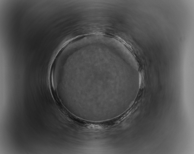 X0000094770195200711161402