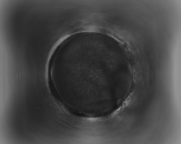 X0000094770200200711161402