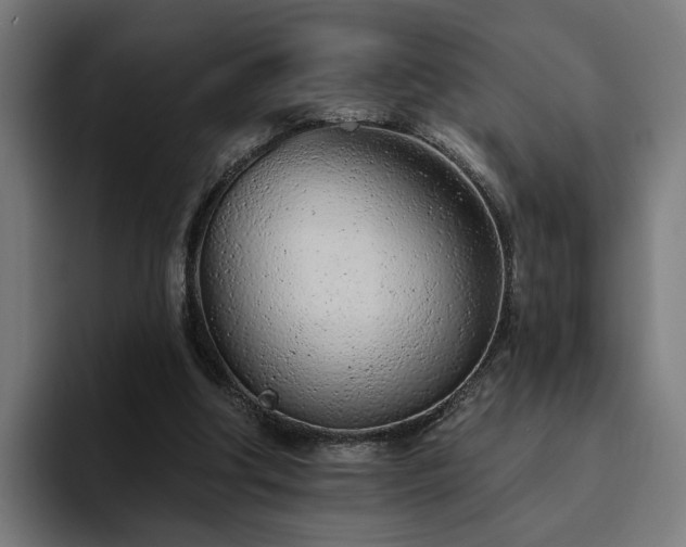 X0000094770202200711161402