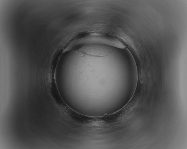 X0000094770210200711161402