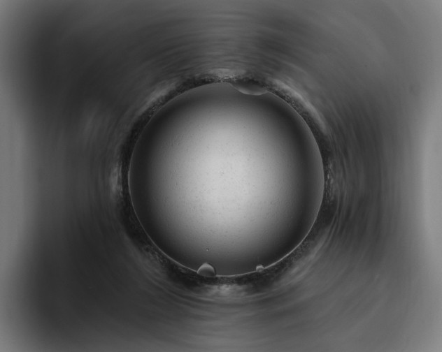 X0000094770212200711161402