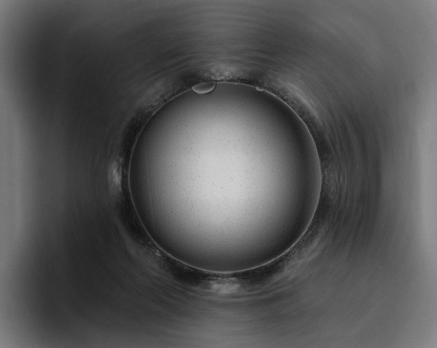 X0000094770214200711161402