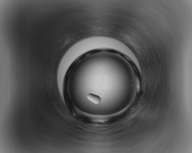 X0000094770215200711161402