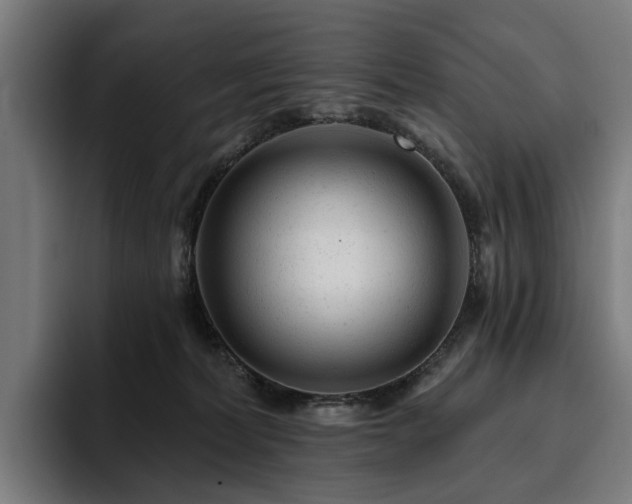 X0000094770228200711161402