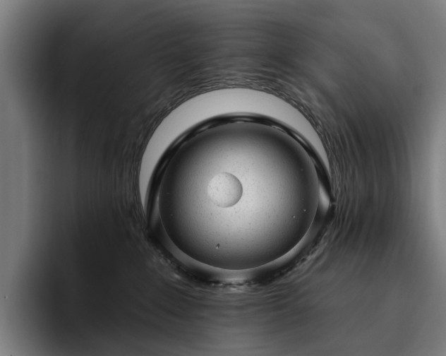 X0000094770235200711161402