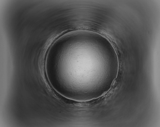 X0000094770241200711161401