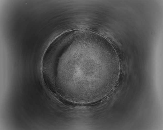 X0000094770242200711161401