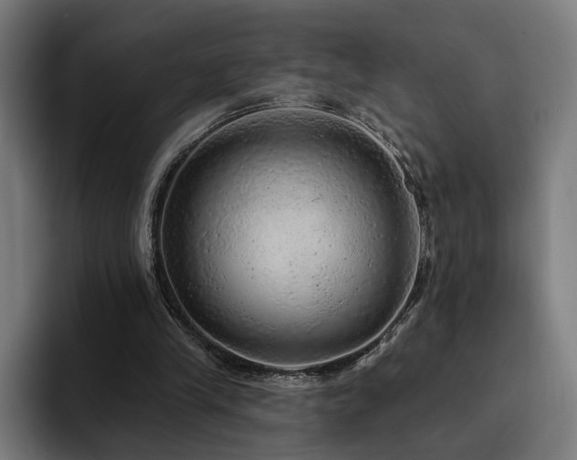 X0000094770245200711161401