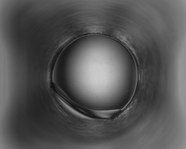 X0000094770249200711161401