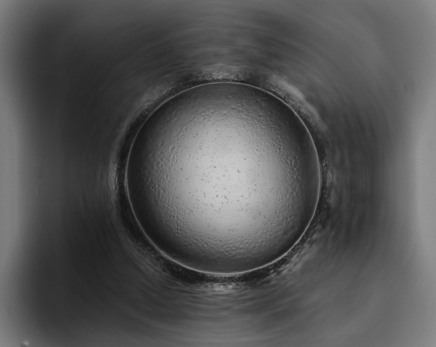 X0000094770250200711161401