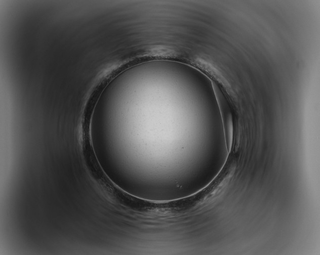 X0000094770252200711161401