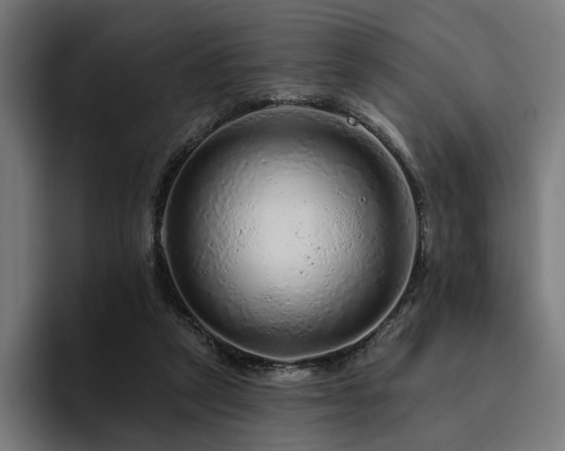 X0000094770257200711161401