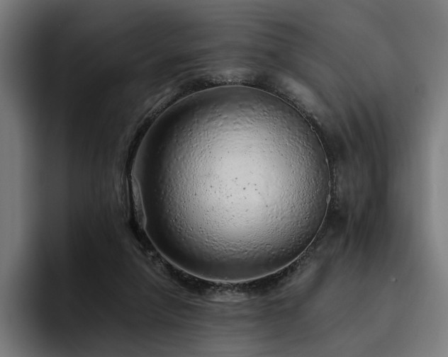 X0000094770258200711161401