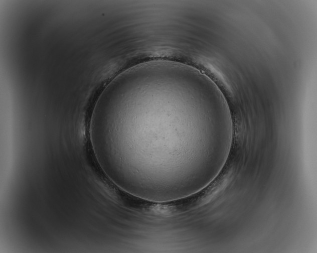 X0000094770261200711161402