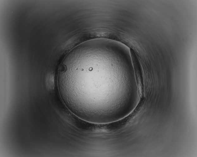 X0000094770262200711161402