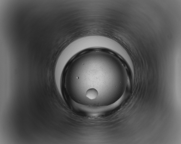 X0000094770268200711161402