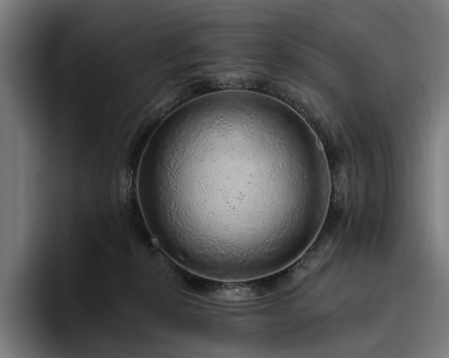 X0000094770278200711161402