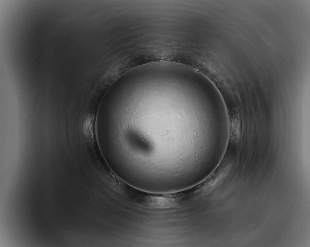 X0000094770286200711161402