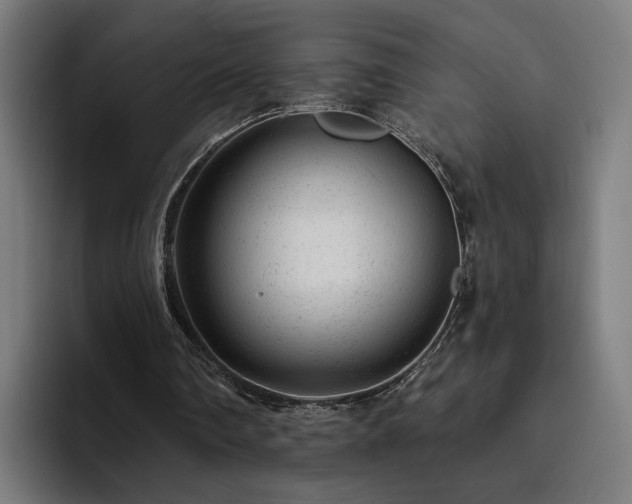 X0000094770290200711161401