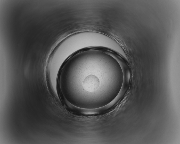 X0000094770292200711161401