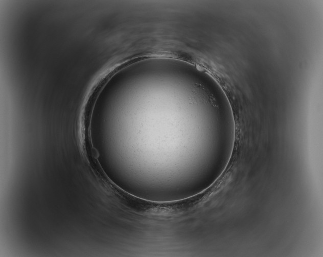 X0000094770294200711161401