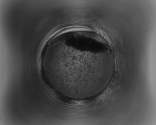 X0000094770295200711161401