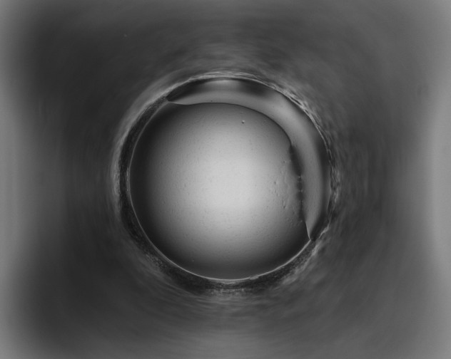 X0000094770296200711161401