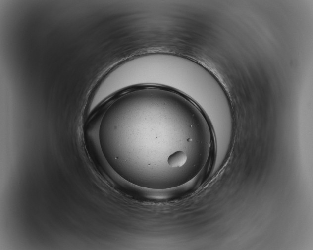 X0000094770297200711161401