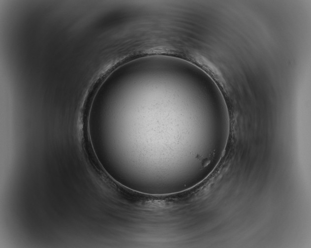 X0000094770298200711161401