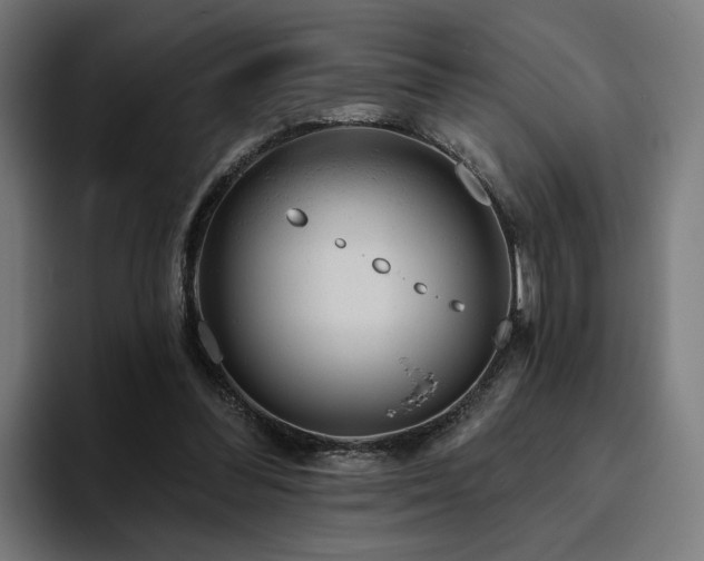 X0000094770300200711161401