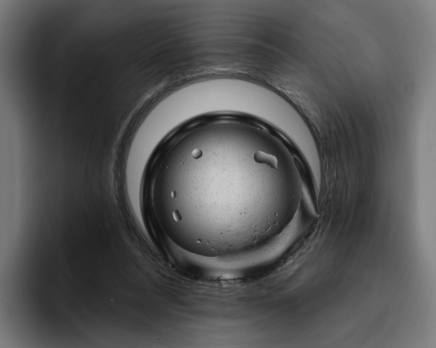 X0000094770304200711161401