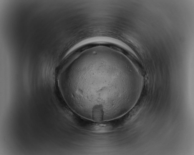 X0000094770315200711161401