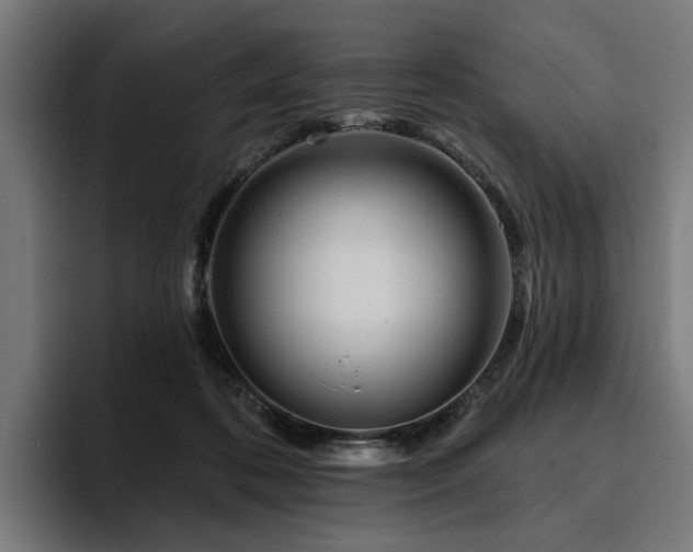 X0000094770316200711161401