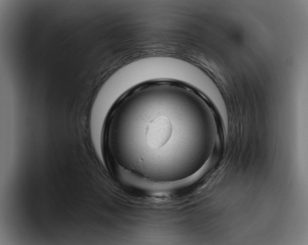 X0000094770317200711161401