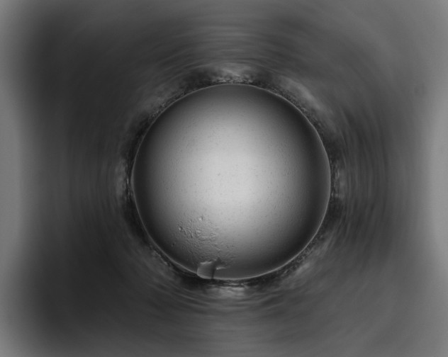 X0000094770318200711161401