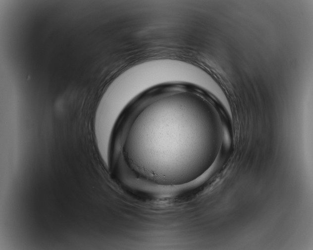 X0000094770325200711161401