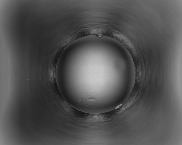 X0000094770329200711161401