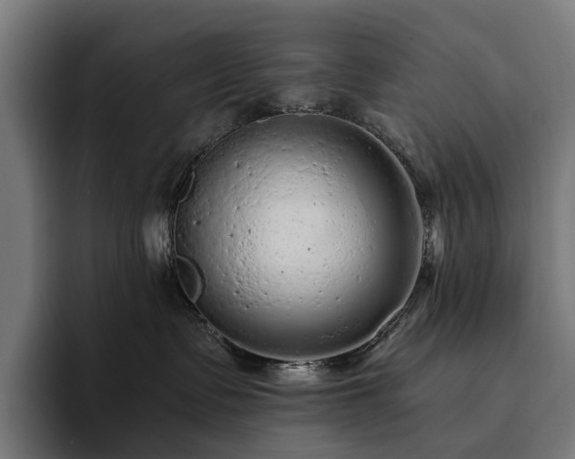 X0000094770335200711161401