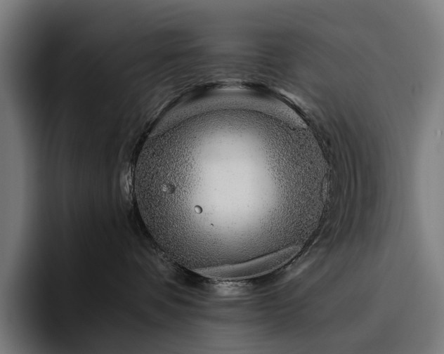 X0000094770336200711161401