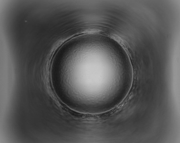 X0000094770337200711161400