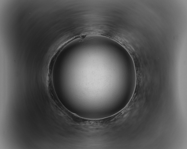 X0000094770338200711161400