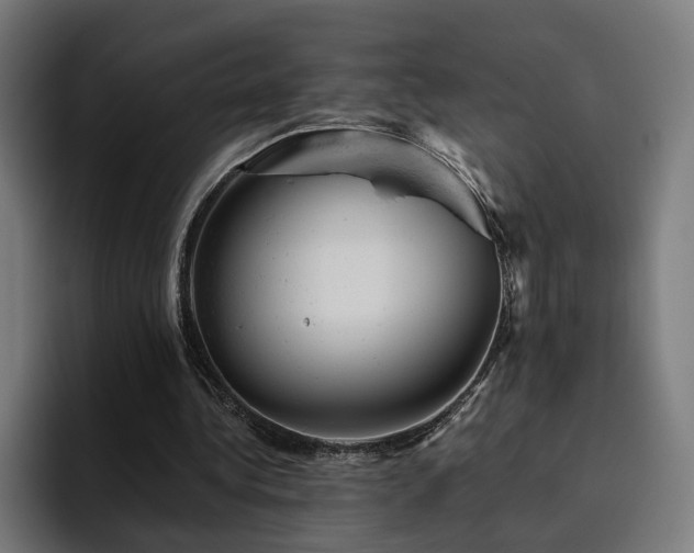 X0000094770340200711161400