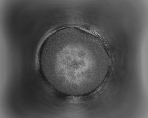 X0000094770343200711161400